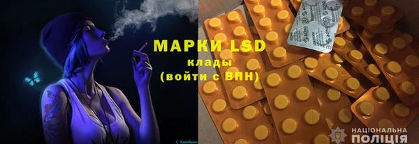 крисы Корсаков