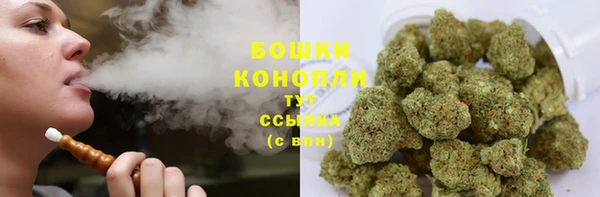 крисы Корсаков