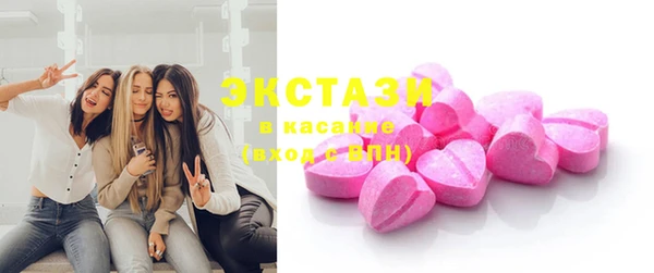 крисы Корсаков