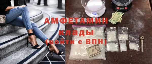 крисы Корсаков