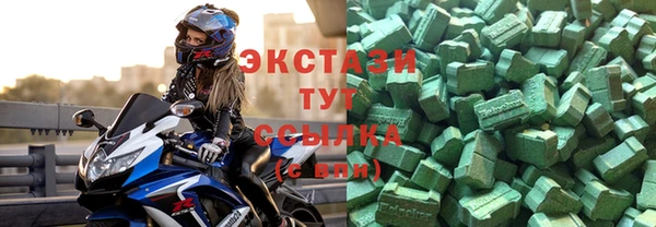 крисы Корсаков