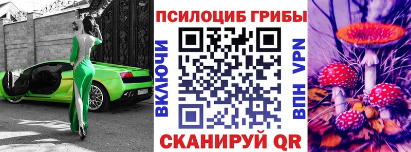 KRAKEN как войти  Малгобек  Псилоцибиновые грибы ЛСД 
